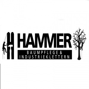 Hammer Baumpflege & Industrieklettern